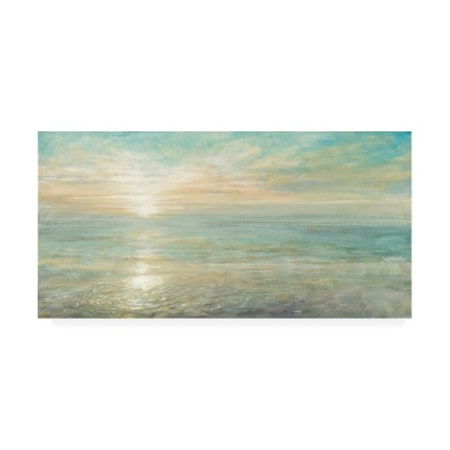 TRADEMARK FINE ART Danhui Nai 'Sunrise Painting' Canvas Art, 16x32 WAP10713-C1632GG